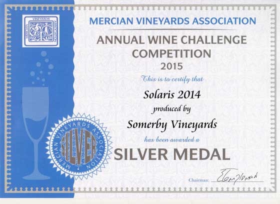 Solaris 2014 MVA Awards Silver